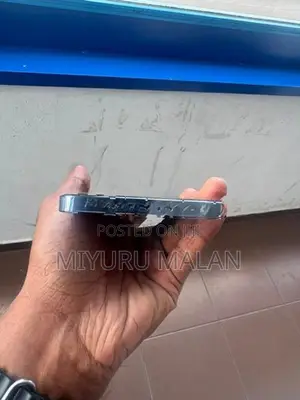 Apple iPhone 13 Pro Max (Used)
