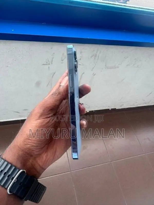 Apple iPhone 13 Pro Max (Used)