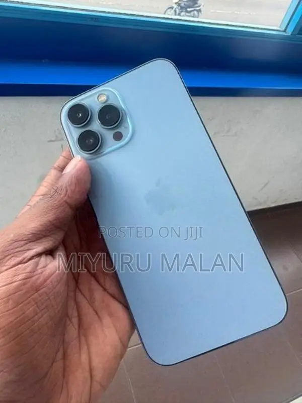Apple iPhone 13 Pro Max (Used)
