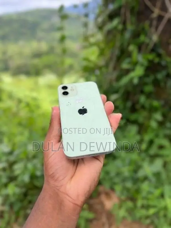 Apple iPhone 12 (Used)
