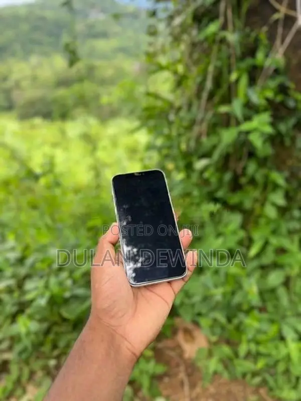 Apple iPhone 12 (Used)