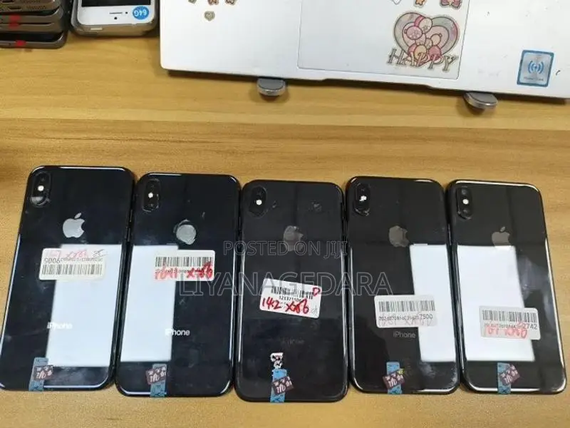 Apple iPhone X 256GB (Used)