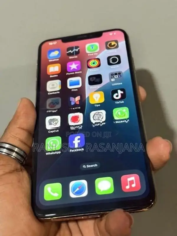 Apple iPhone XS Max 256GB (Used)