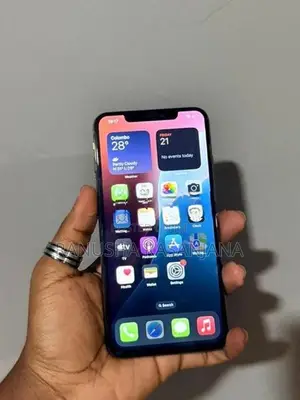 Apple iPhone XS Max 256GB (Used)