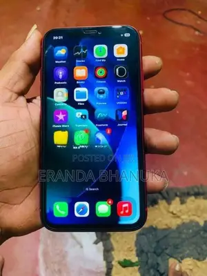 Apple iPhone 11 (Used)