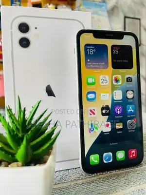 Apple iPhone 11 (Used)