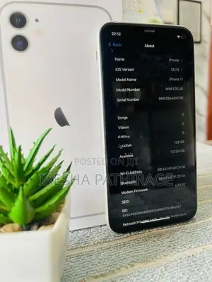 Apple iPhone 11 (Used)