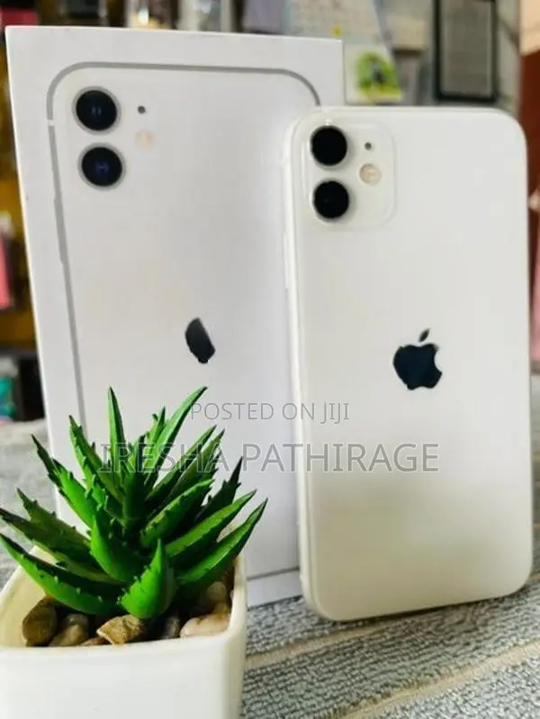 Apple iPhone 11 (Used)