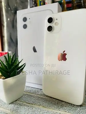 Apple iPhone 11 (Used)