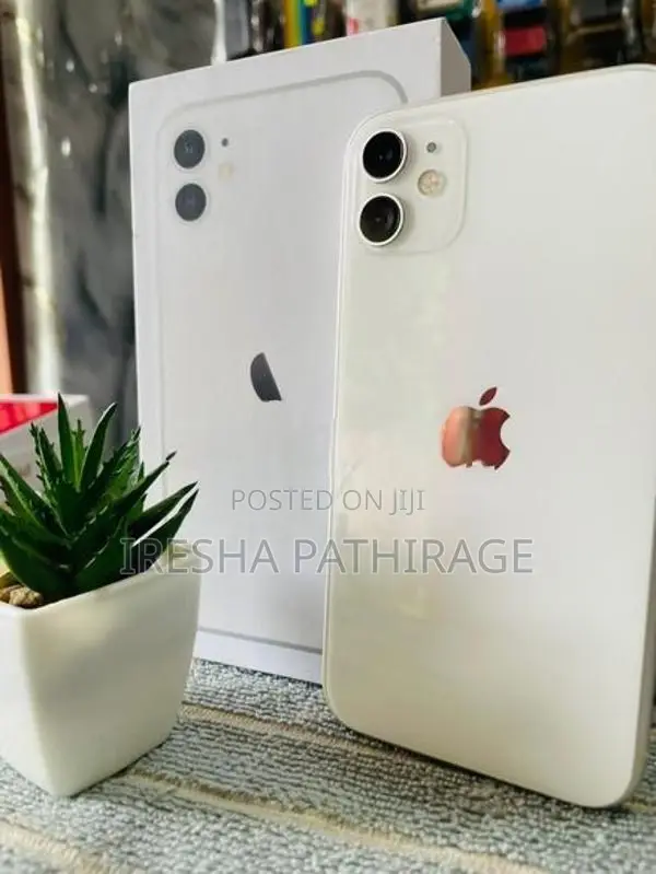 Apple iPhone 11 (Used)