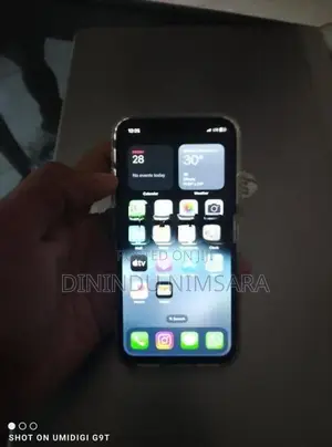 Apple iPhone X (Used)