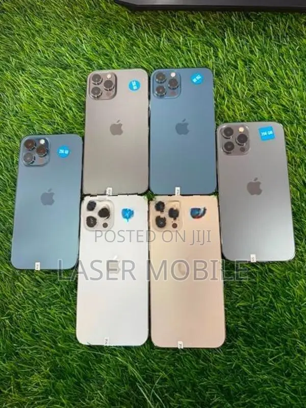 Apple iPhone 12 Pro Max 256GB (Used)