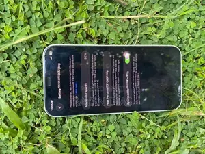 Apple iPhone 12 Green (Used)