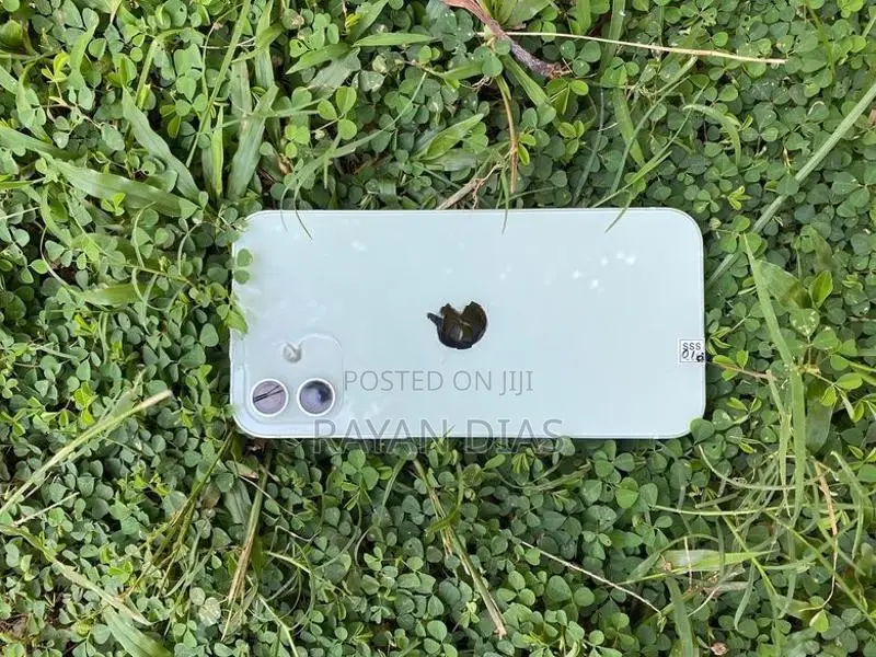 Apple iPhone 12 Green (Used)