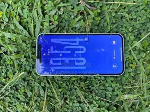 Apple iPhone 12 Green (Used)