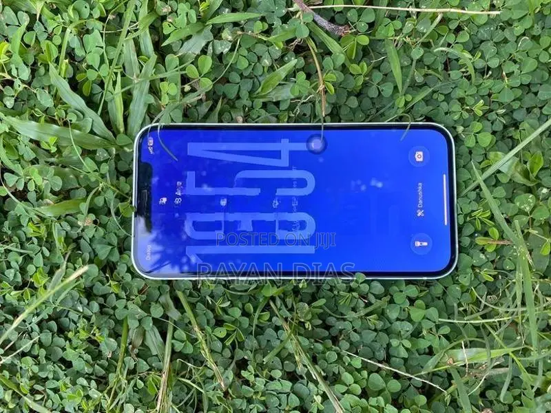 Apple iPhone 12 Green (Used)