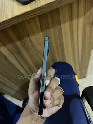 Apple iPhone 12 Pro Max (Used)