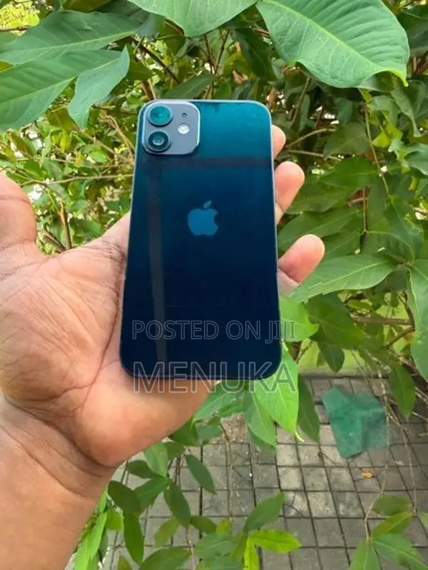 Apple iPhone 12 mini 128GB (Used)