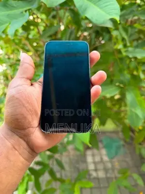 Apple iPhone 12 mini 128GB (Used)