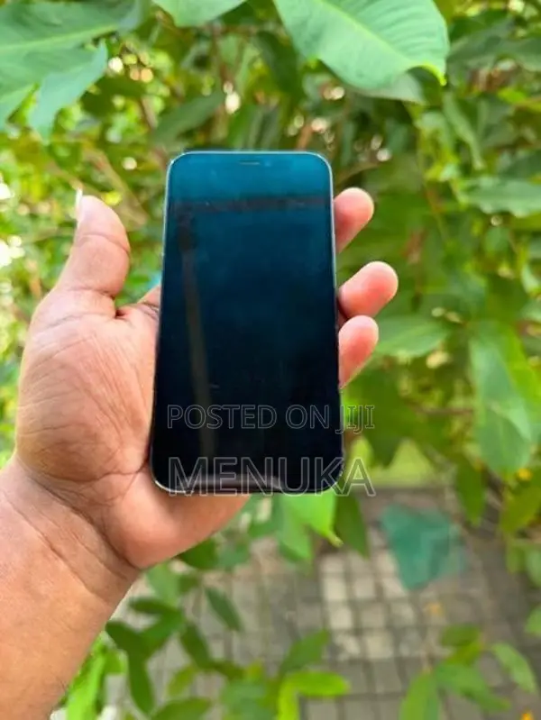 Apple iPhone 12 mini 128GB (Used)