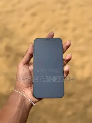 Apple iPhone 12 Pro (Used)