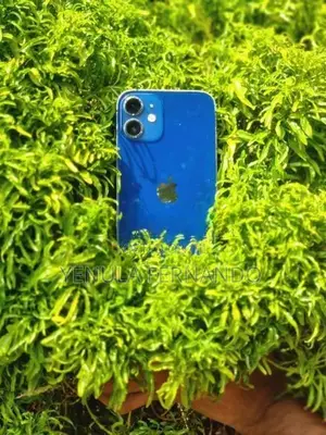 Apple iPhone 12 mini (Used)