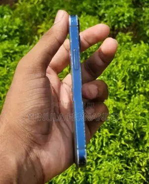 Apple iPhone 12 mini (Used)