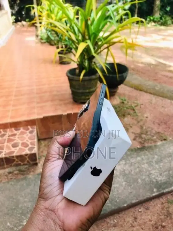 Apple iPhone 13 128GB (Used)