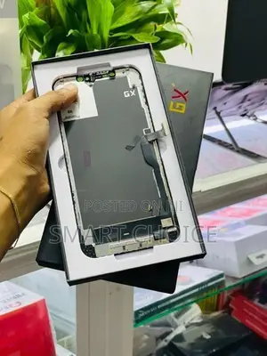 Apple iPhone 12 Pro Max Programmed GX Display