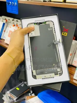 Apple iPhone 12 Pro Max Programmed GX Display