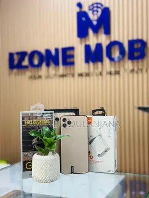 Apple iPhone 11 Pro Max 256GB (Used)
