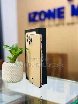 Apple iPhone 11 Pro Max 256GB (Used)