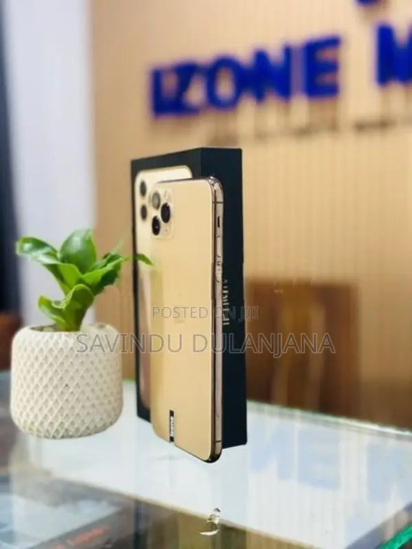 Apple iPhone 11 Pro Max 256GB (Used)