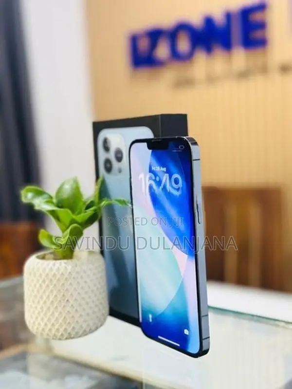 Apple iPhone 13 Pro Max 128GB (Used)