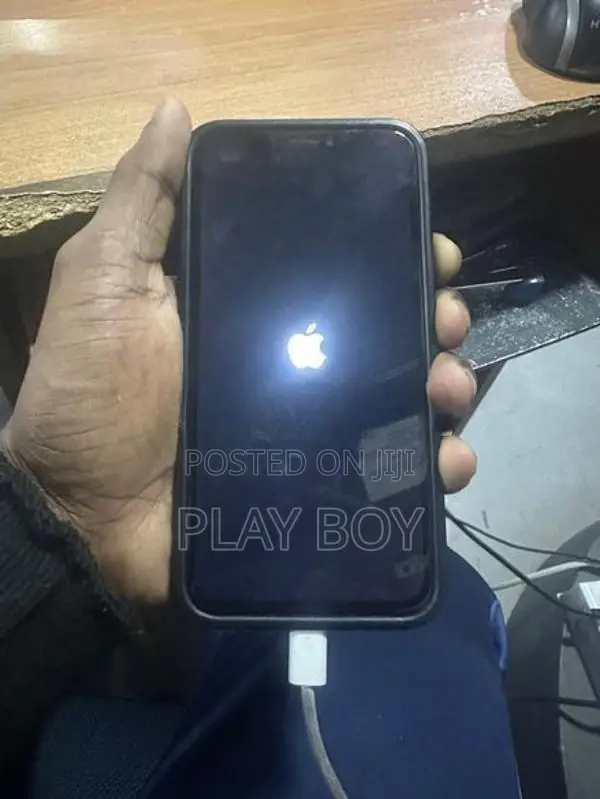 Apple iPhone X (Used)
