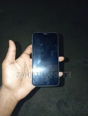 Apple iPhone X (Used)