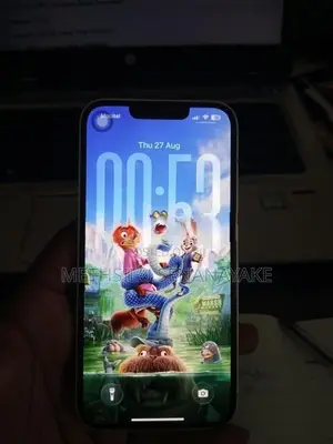 Apple iPhone 13 (Used)