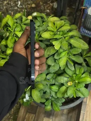 Apple iPhone 15 Pro Max 256GB (Used)