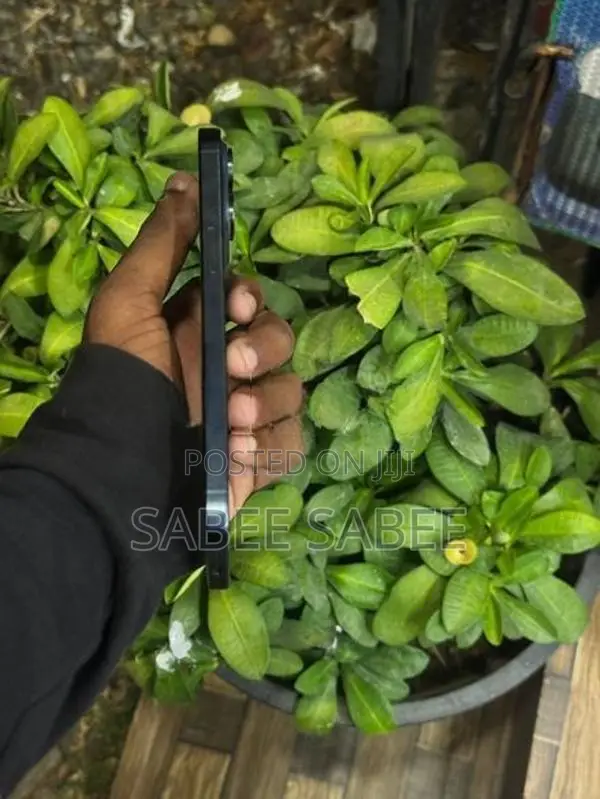 Apple iPhone 15 Pro Max 256GB (Used)