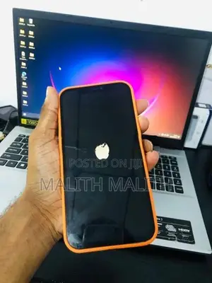 Apple iPhone 12 Pro Max (Used)