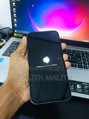Apple iPhone 12 Pro Max (Used)