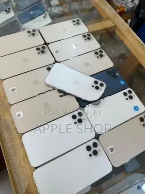 Apple iPhone 12 Pro 256GB (Used)