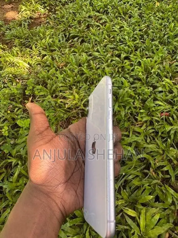 Apple iPhone 11 (Used)