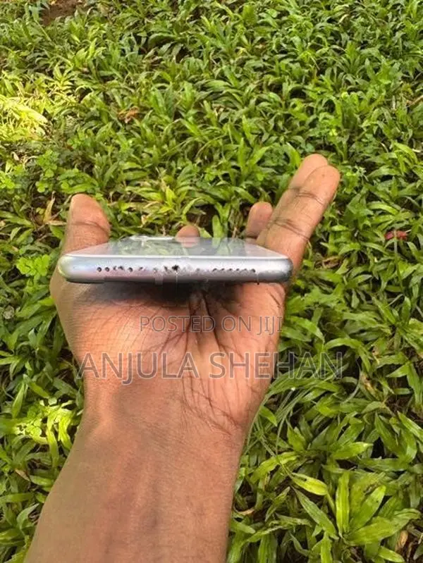 Apple iPhone 11 (Used)