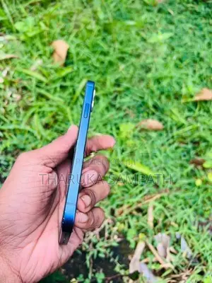 Apple iPhone 12 (Used)