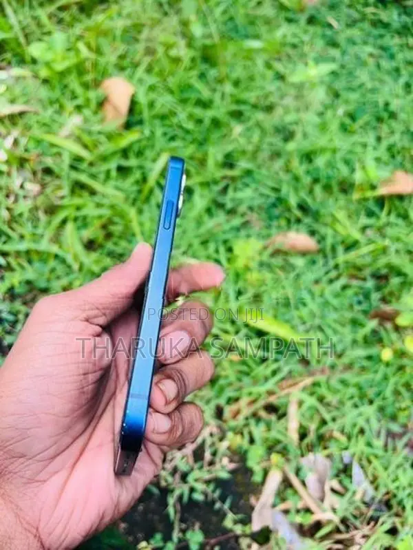 Apple iPhone 12 (Used)