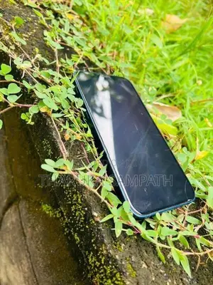 Apple iPhone 12 (Used)