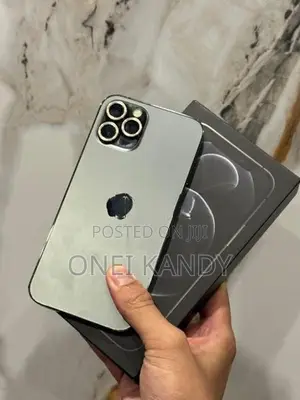 Apple iPhone 12 Pro 256GB (Used)