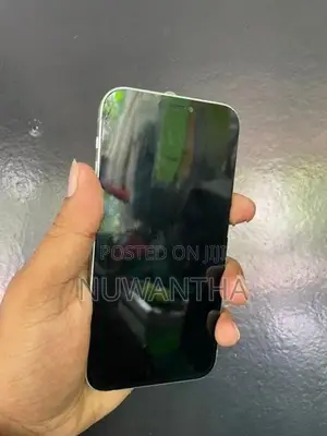 Apple iPhone 12 (Used)