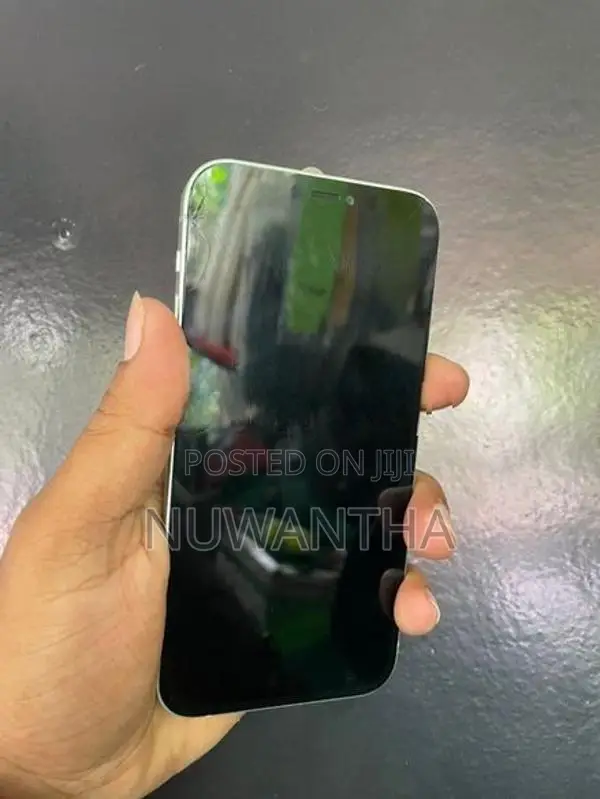 Apple iPhone 12 (Used)
